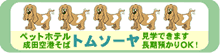 トムソーヤ